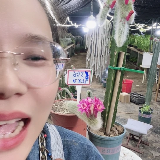 6356脱土发货无售后