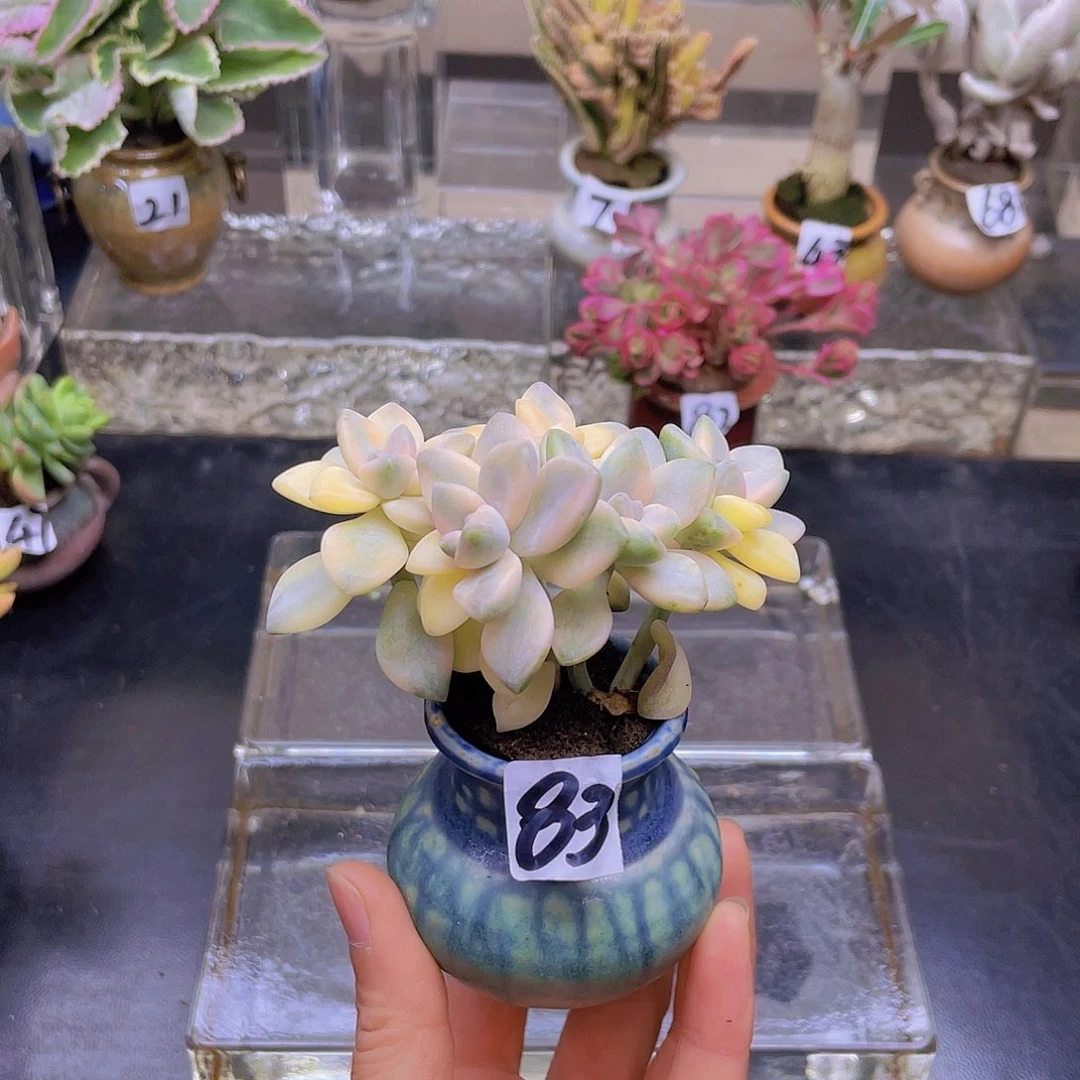 一***是花钱花钱花钱花钱