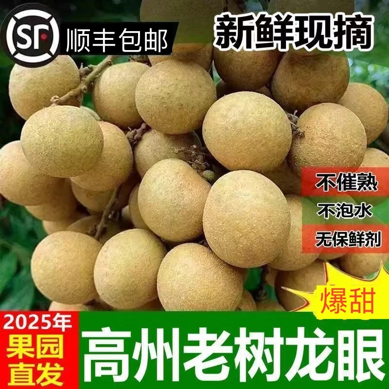 【顺丰包邮】茂名石硖龙眼新鲜现摘现发清甜多汁当季水果