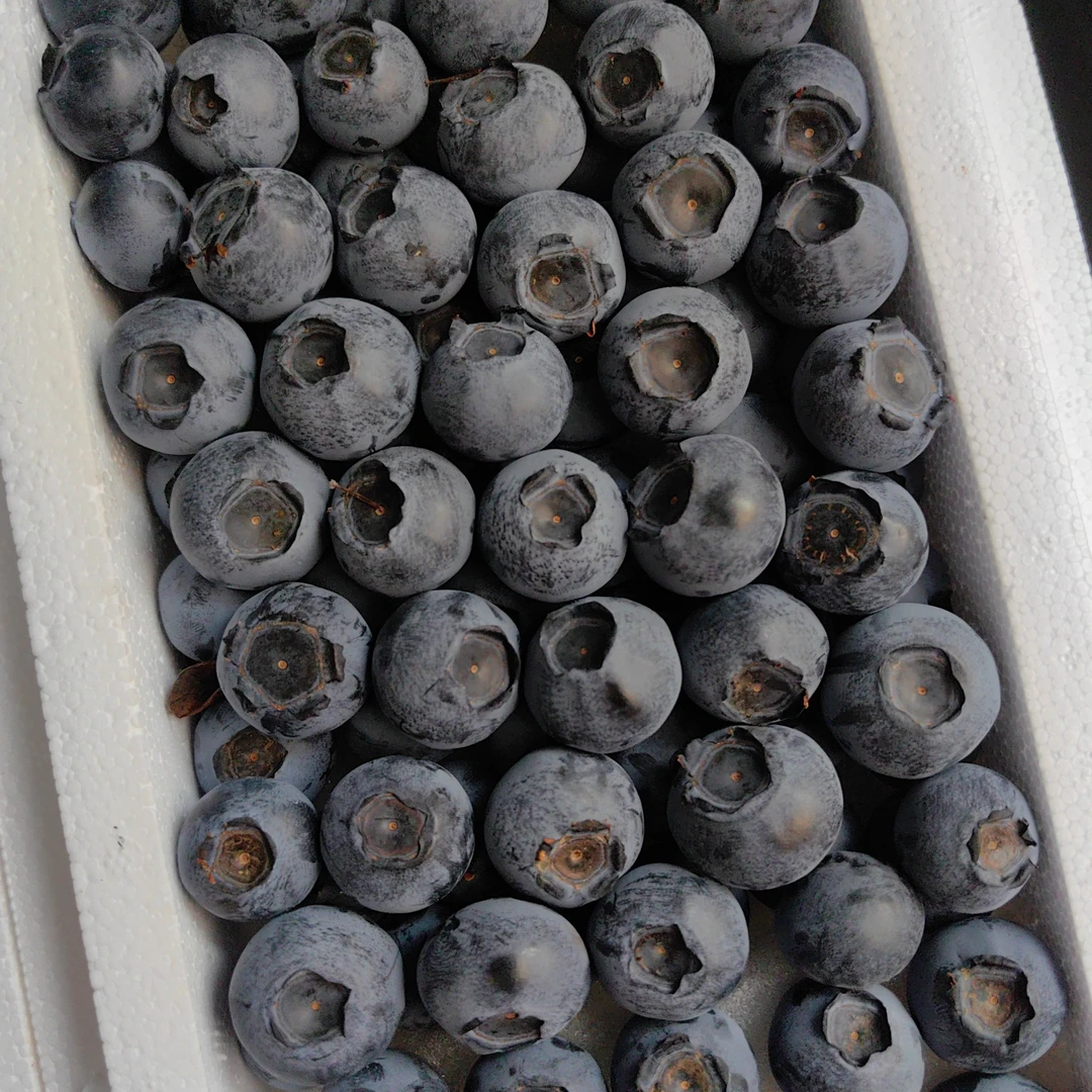 产地蓝莓（纯福利）箱