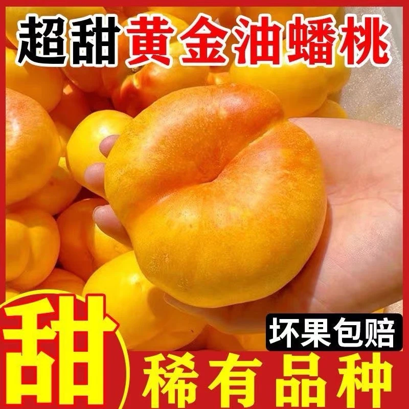 正宗黄金油蟠桃新鲜桃子当季水果黄肉桃露天黄金水蜜桃