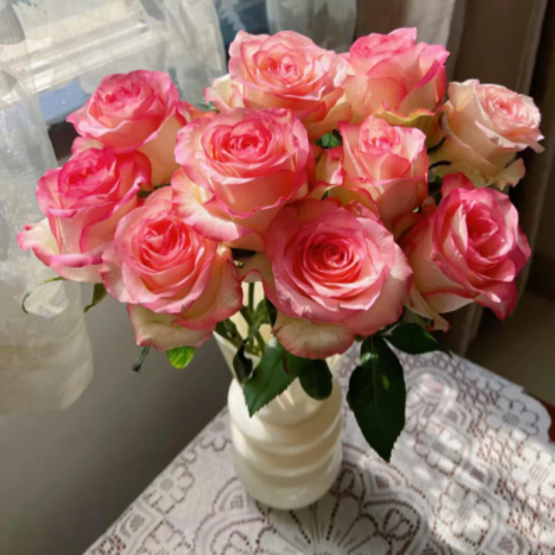 特价【鲜花同城送】10支爱莎单头玫瑰（任意两单有小礼品）