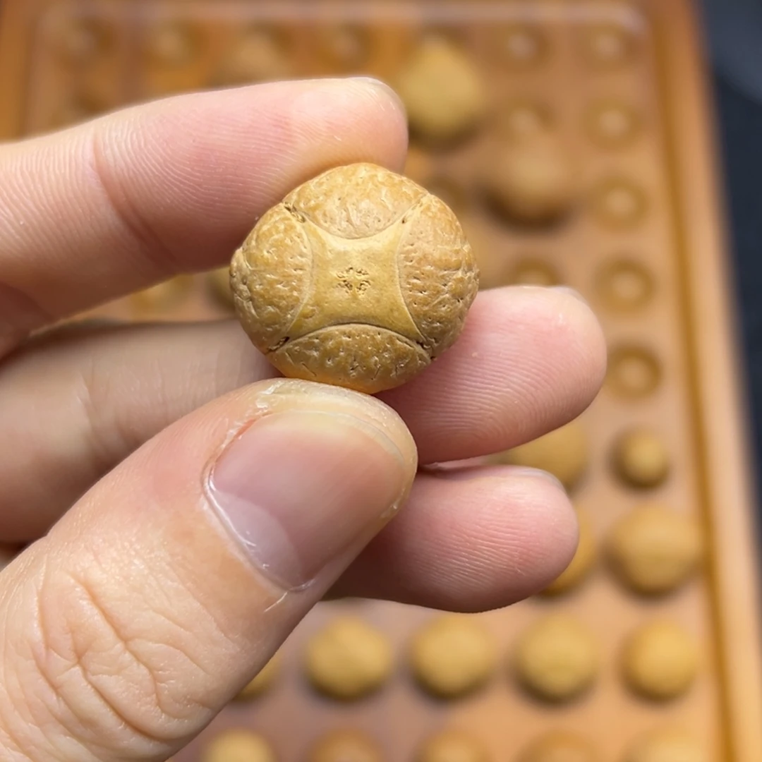 手串凤眼菩提21+麒麟眼