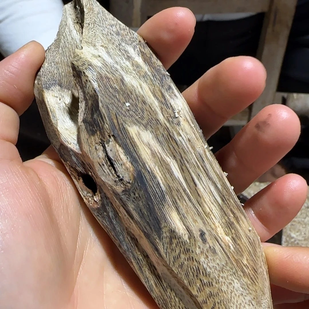 沉香沉香碎屑20号奇楠沉香原木一个西瓜叶