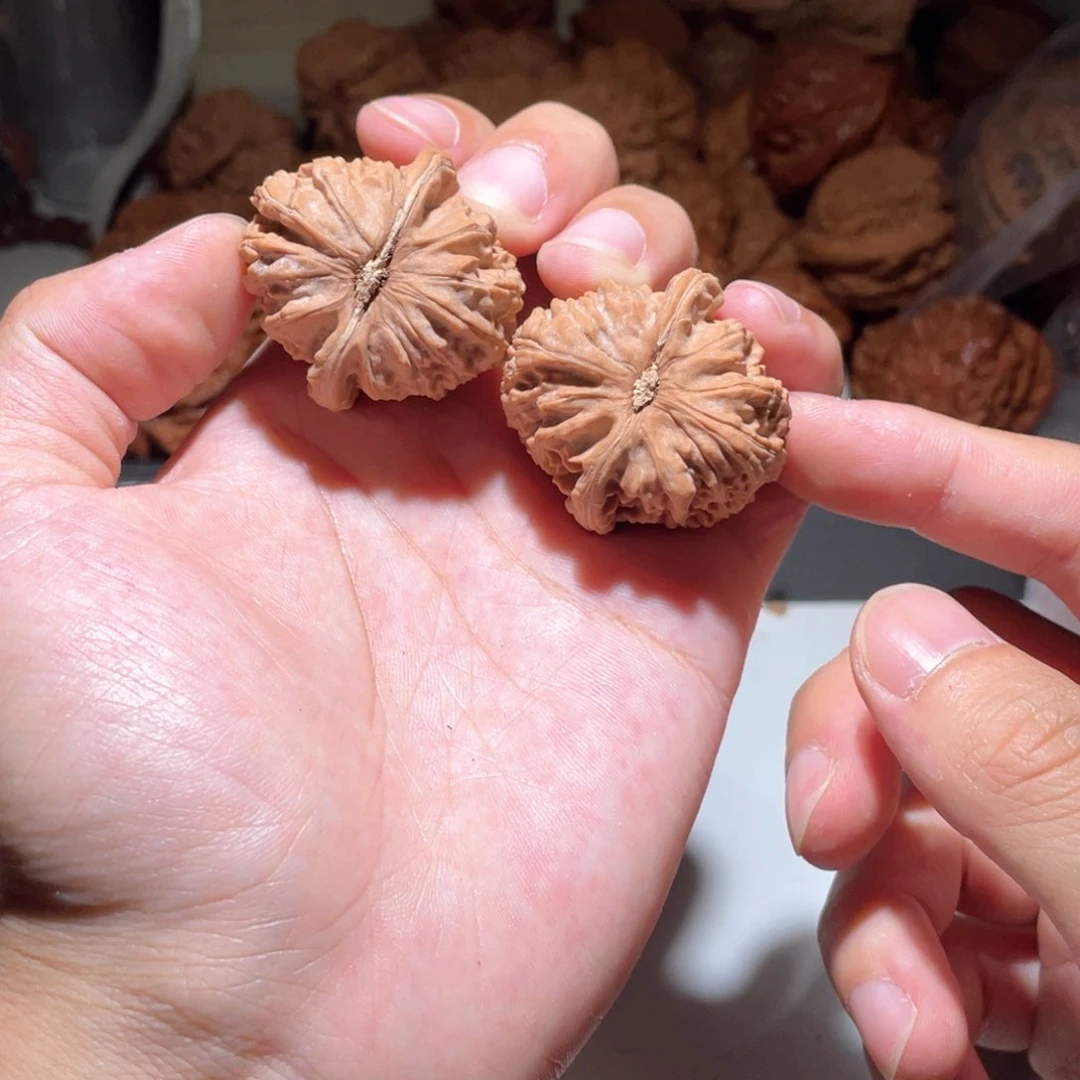 W****637尺寸全品无修三角白