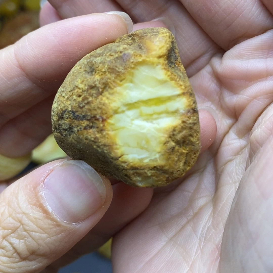 定制琥珀未镶嵌南*游胖