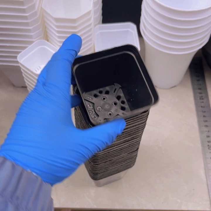 黑方软盆口7高7一组100个