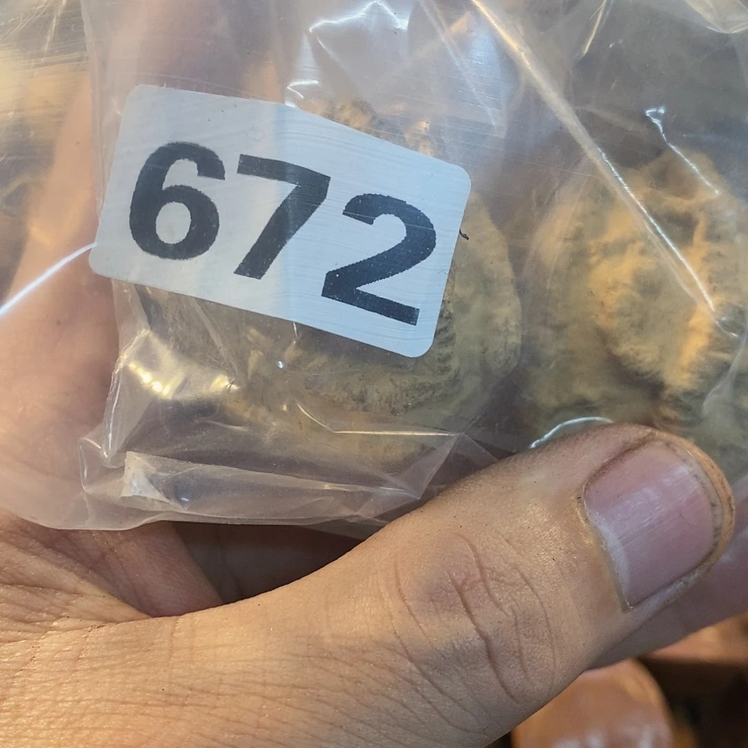 文玩核桃吊坠最****子