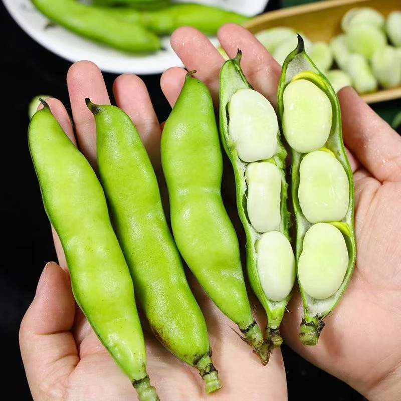 【蚕豆】云南新鲜蚕豆  现采现发 农家带壳胡豆 高原胡豆