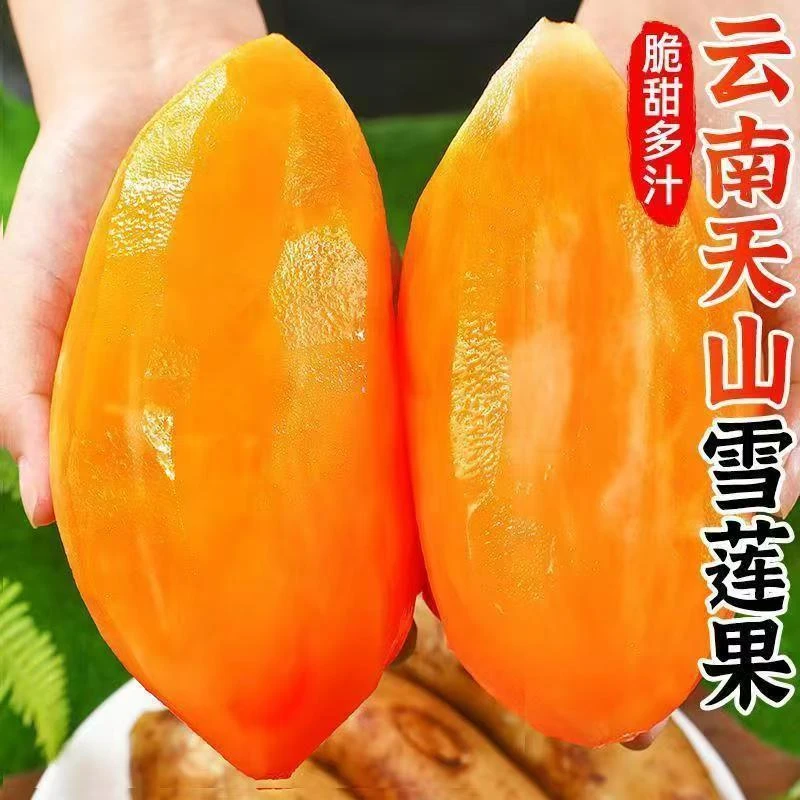 【泰恒2】云南天山雪莲果黄心新鲜应季水果清甜脆甜多汁