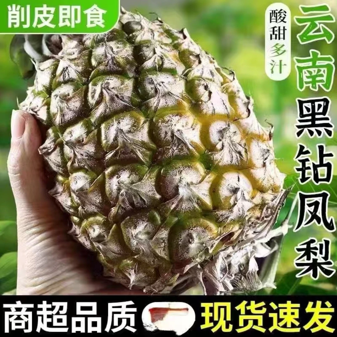 【黑钻凤梨】云南树熟黑钻凤梨新鲜采摘酸甜爆汁当季水果一整箱包邮
