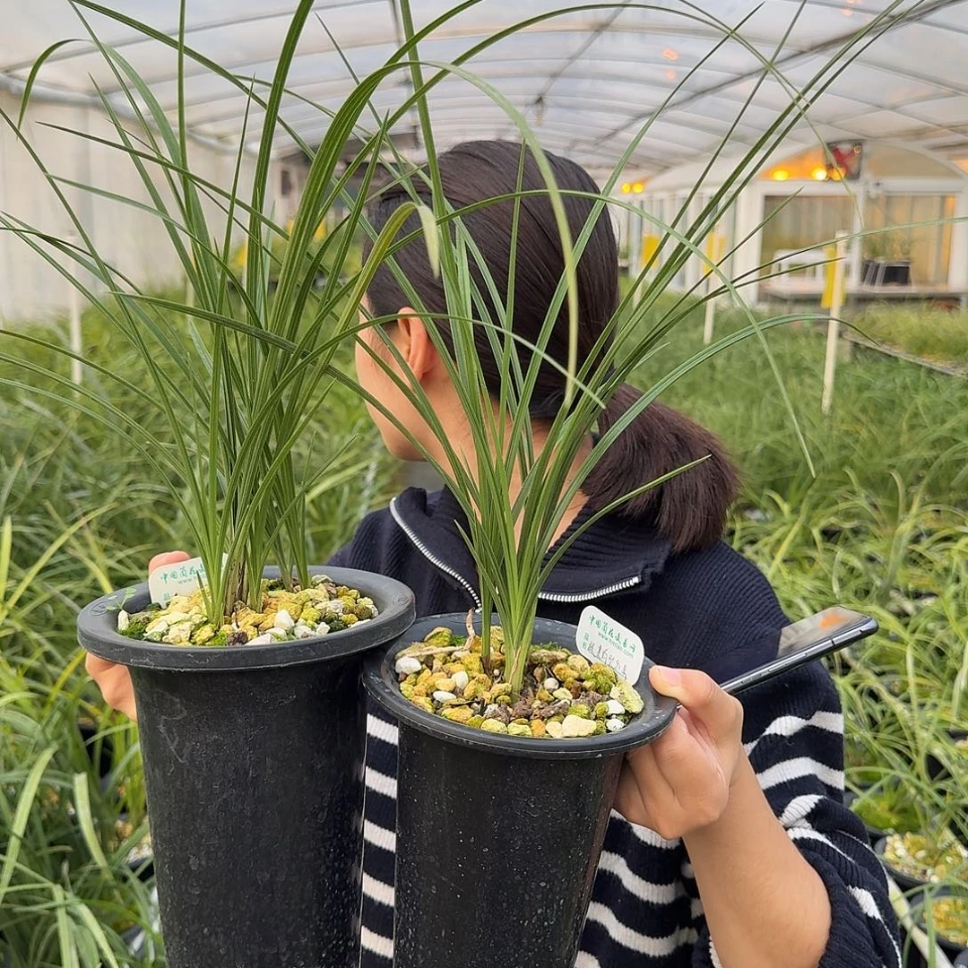 完全开放13698547