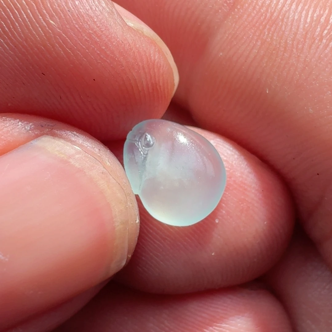 未镶嵌定制翡翠天然翡翠带着