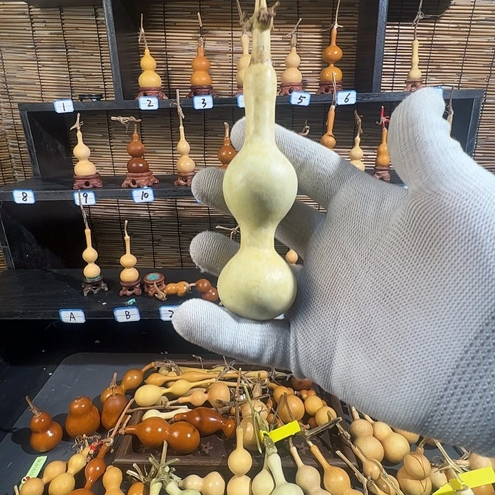 ****摇蚂蚁蚂蚁蚂蚁蚂蚁