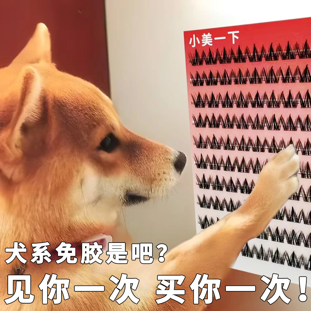 免胶假睫毛100簇大容量免胶犬系假睫毛免胶睫毛小奶狗浓密自然
