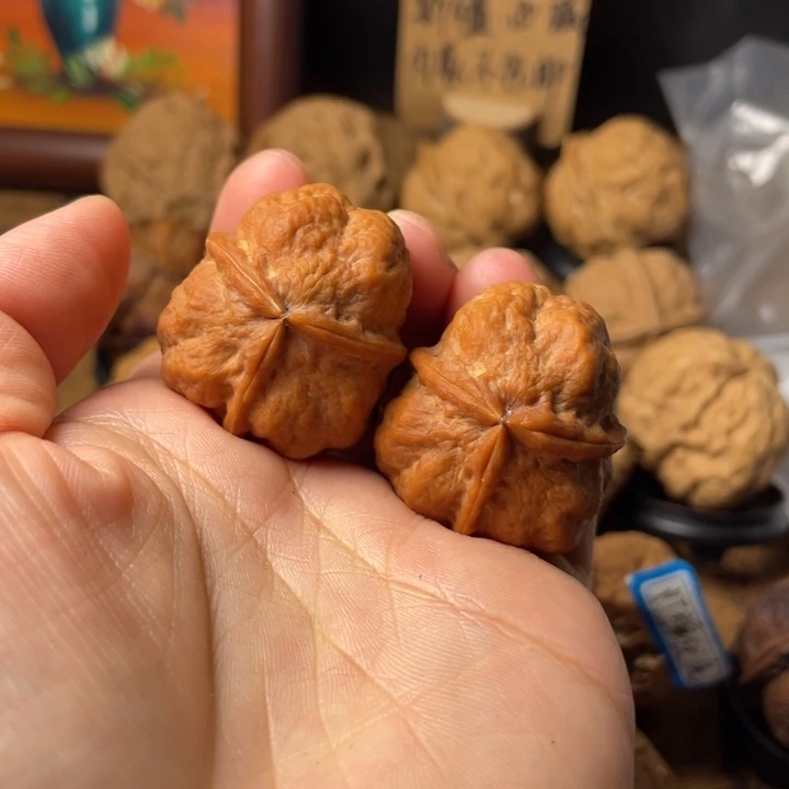 豆***精云南野生铁核桃编号92