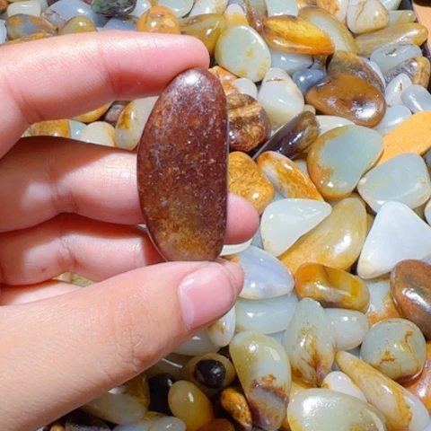 和田玉（子料）未镶嵌颈饰14克