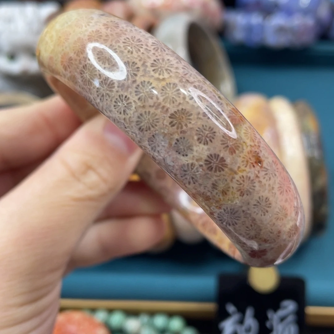 未镶嵌手镯硅化玉