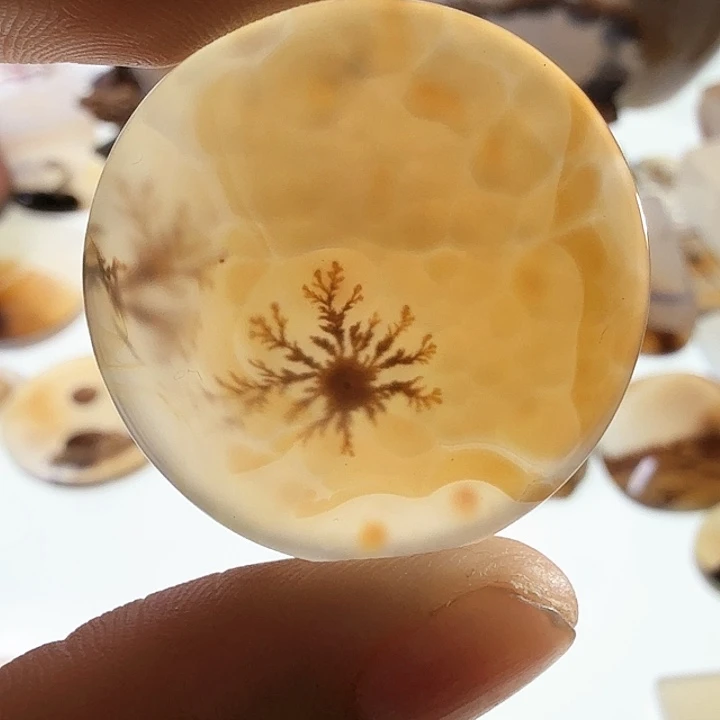 未镶嵌玛瑙/玉髓珠宝半成品