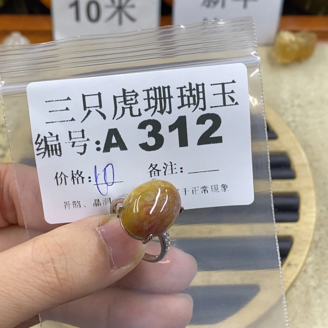 硅化珊瑚（珊瑚玉）1未镶嵌丁*吖