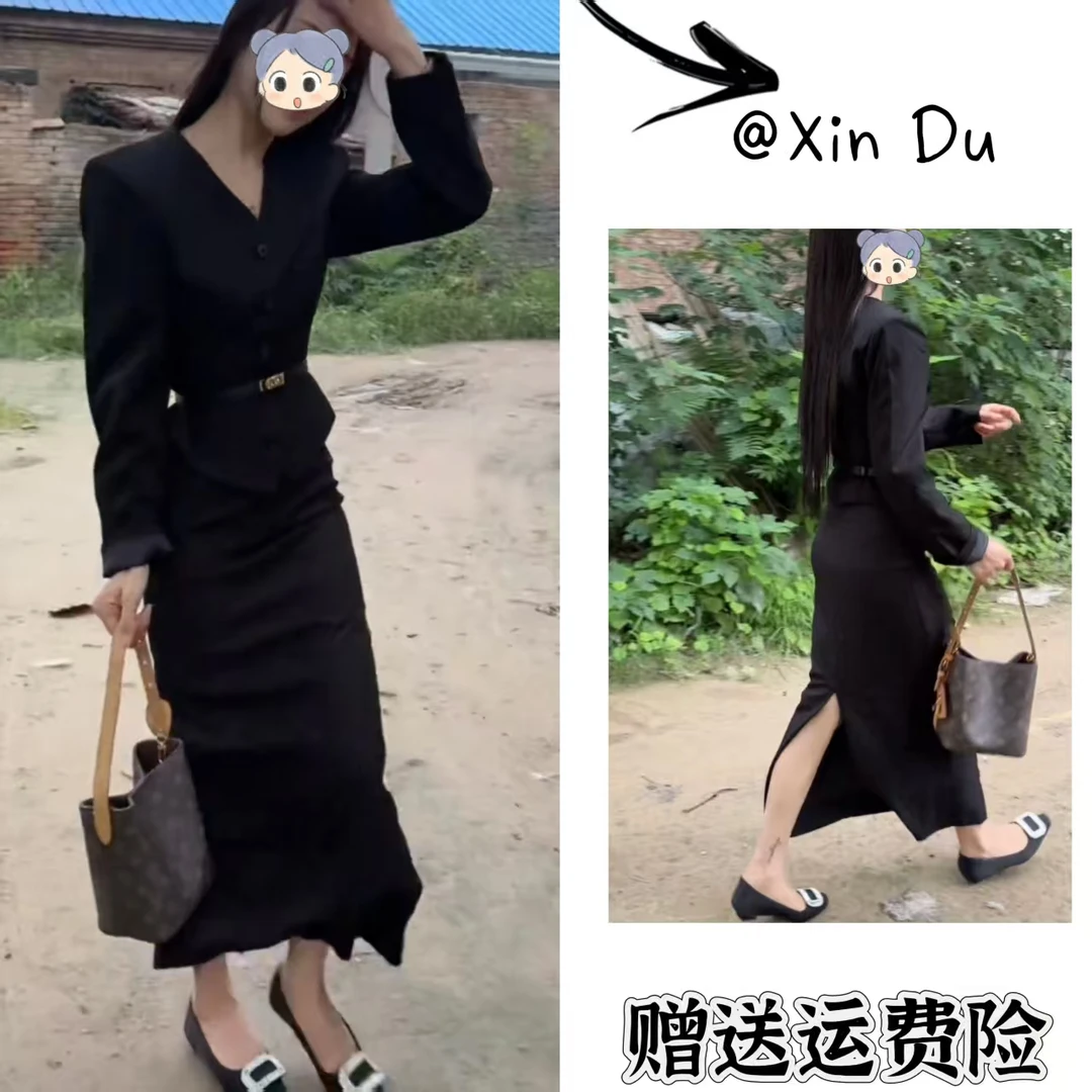 2025秋季新款时尚显瘦气质女士网红洋气两件套百搭款D22716