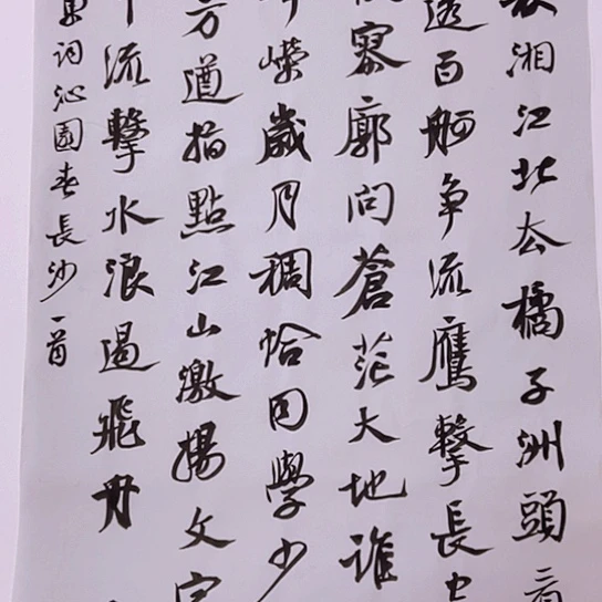 书法张建东老师书法作品