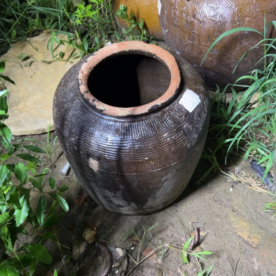 阿**…种花一物一拍打孔