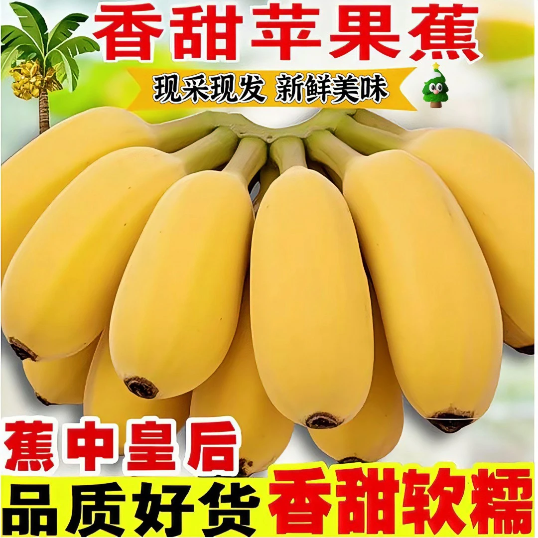 正宗苹果蕉产地直发1/3/5/9斤应季新鲜水果粉蕉香蕉批发包邮62