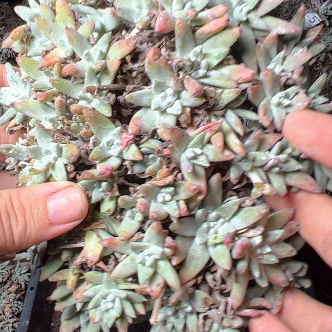 5979哈哈哈哈哈哈哈哈