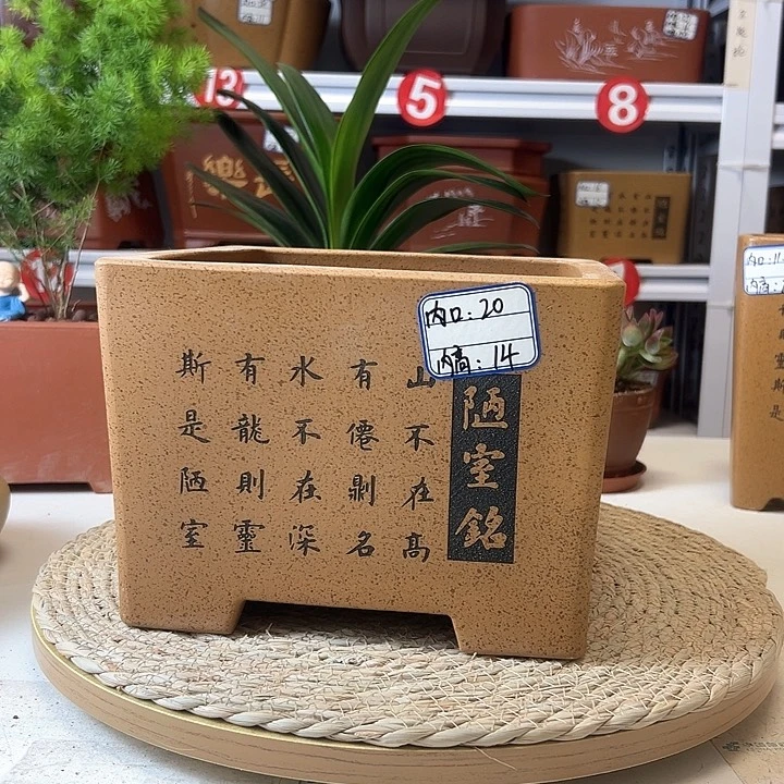 紫砂花盆蛇年大吉