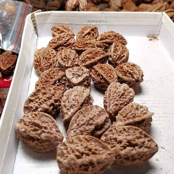 文玩核桃手串杯*东北秋子异型核桃21