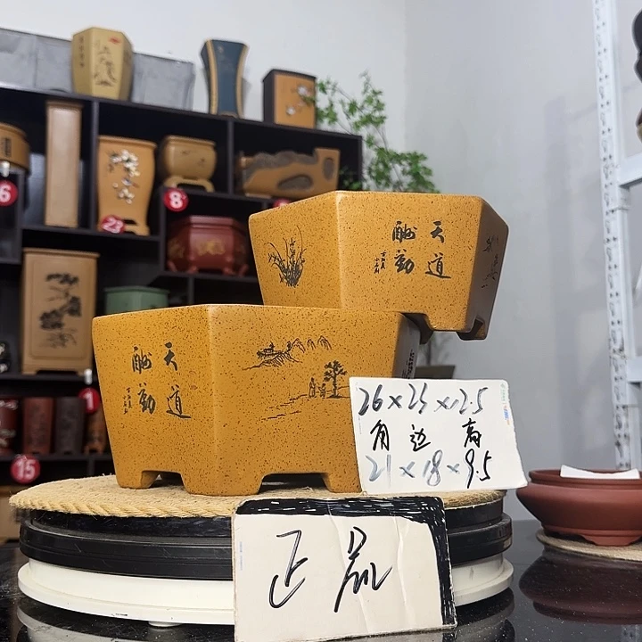 紫砂花盆盆友记紫砂