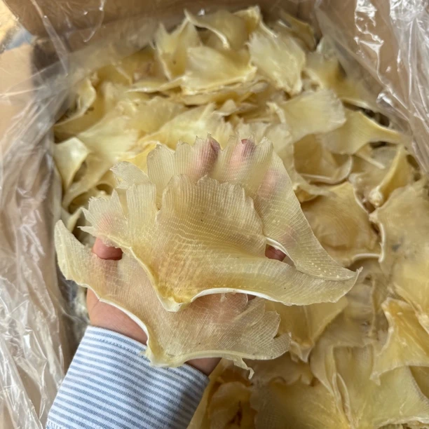 浦鱼刺仔干 鱼干