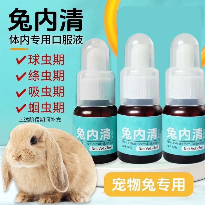 兔内清宠物兔榧子宠兔问题补充植物提取养兔必备