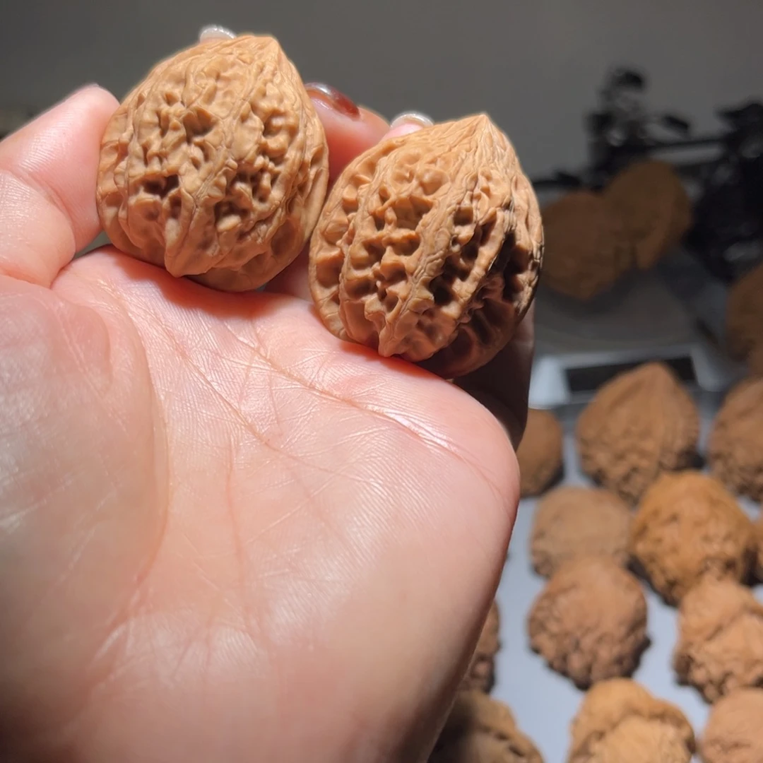 木质类大沽石36全品