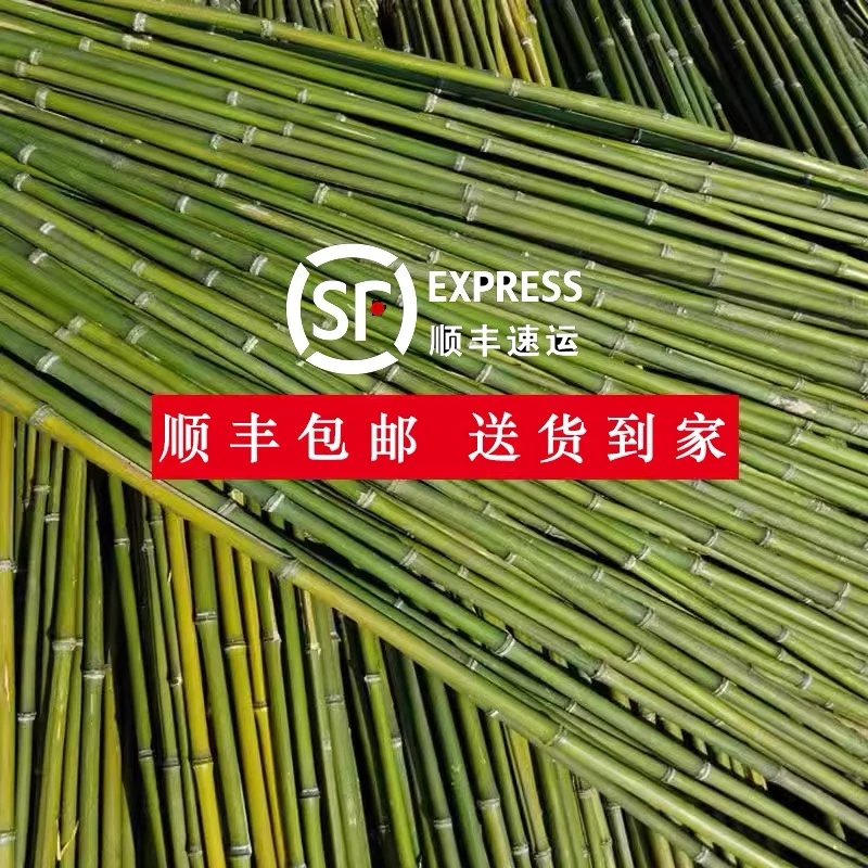 竹竿菜园搭架蔬菜黄瓜番茄豆角架杆竹篱笆栅栏小竹子细竹竿爬藤架
