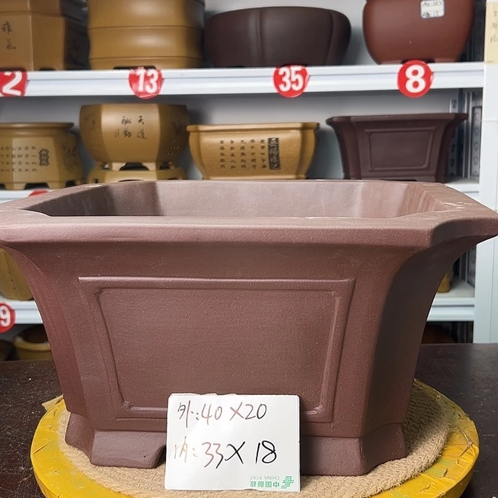 花盆紫砂你在一起