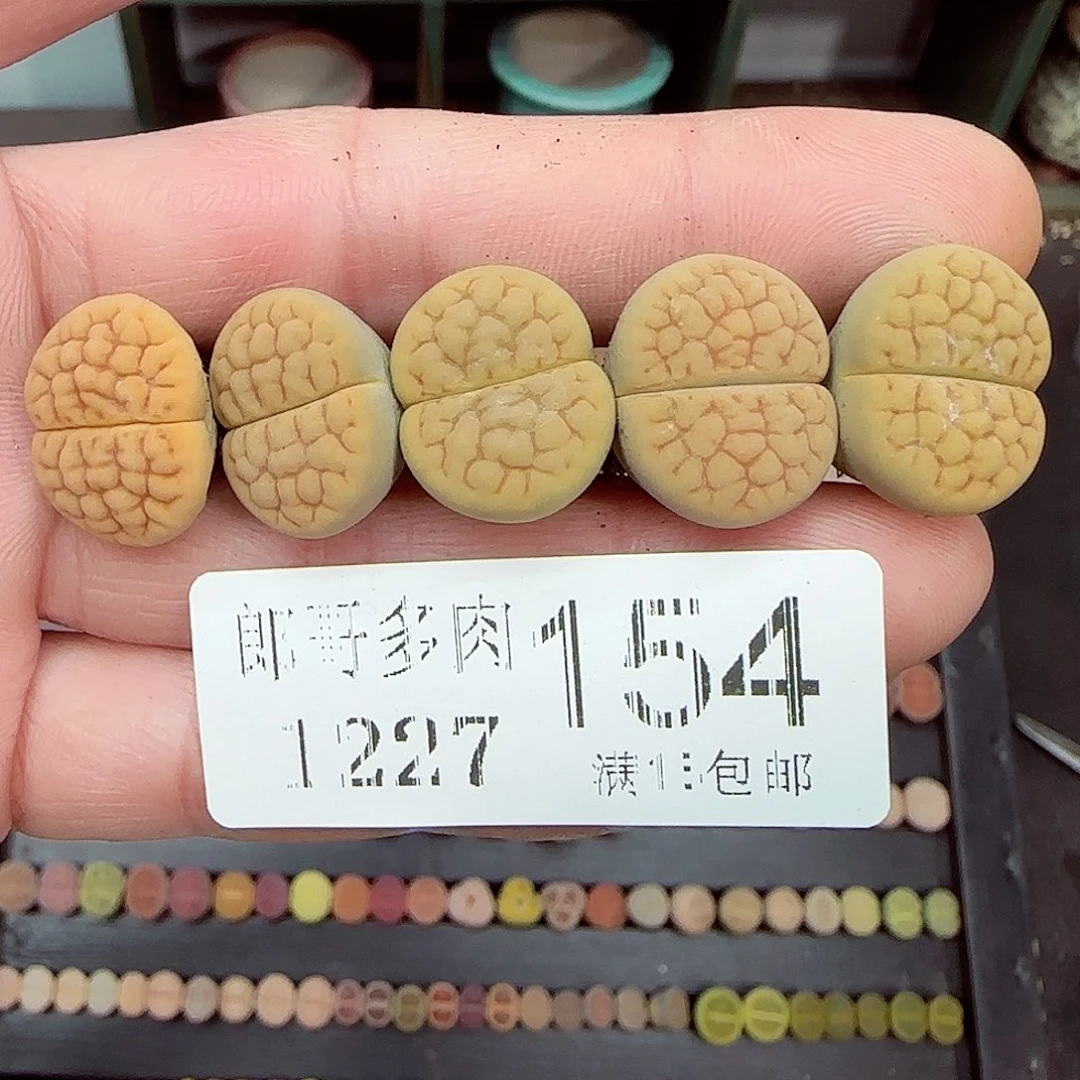 满满18包邮1227-154