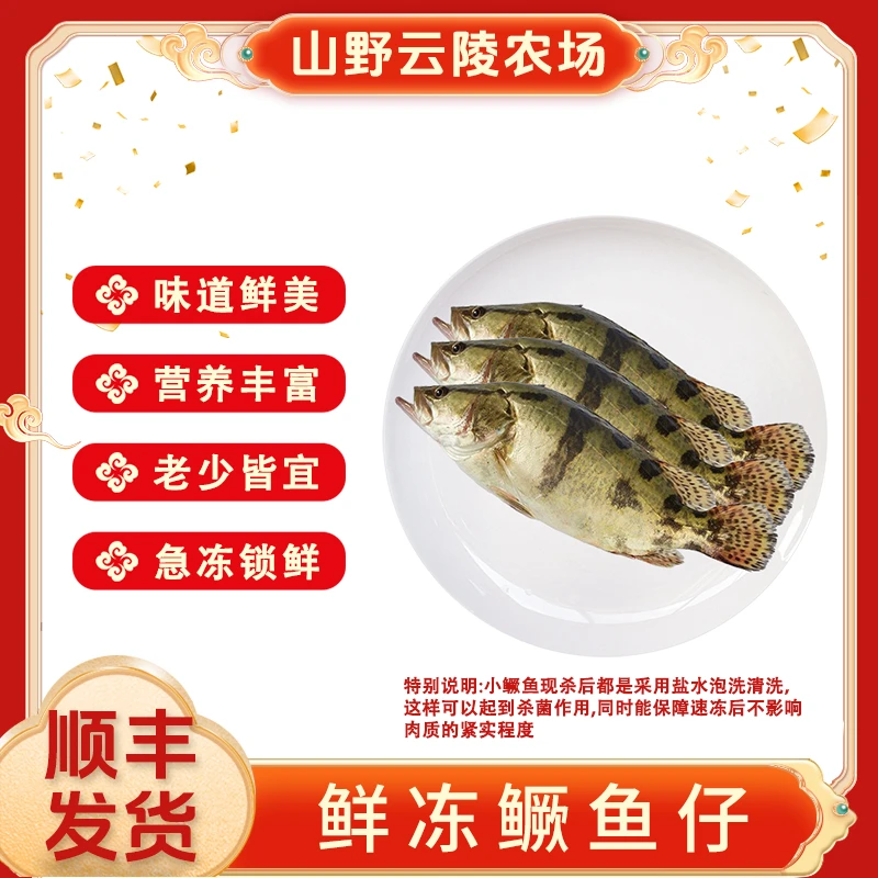 山野云陵农场鲜冻鳜鱼500g(3条)*3袋去鳞去鳃去内脏活鱼现杀