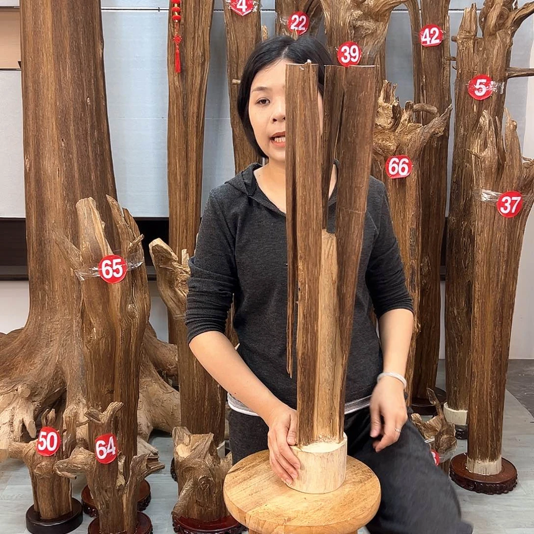 摆件沉香沉香摆件