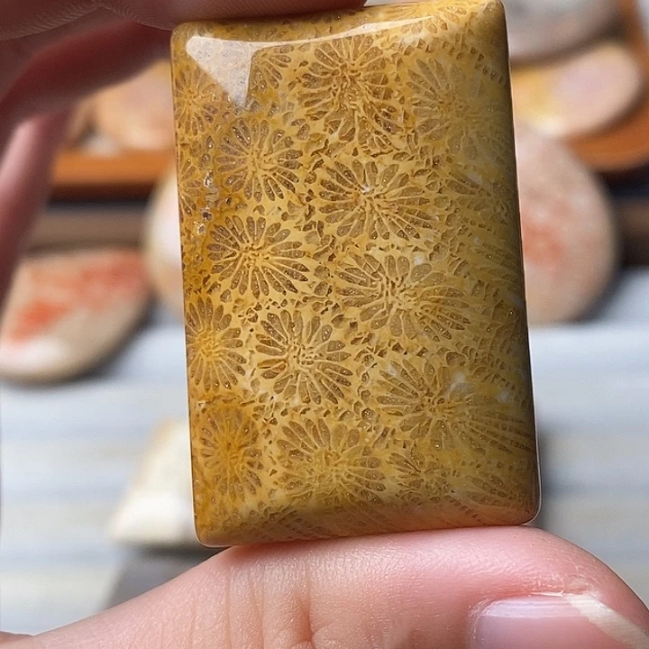 常***）硅化珊瑚未镶嵌颈饰