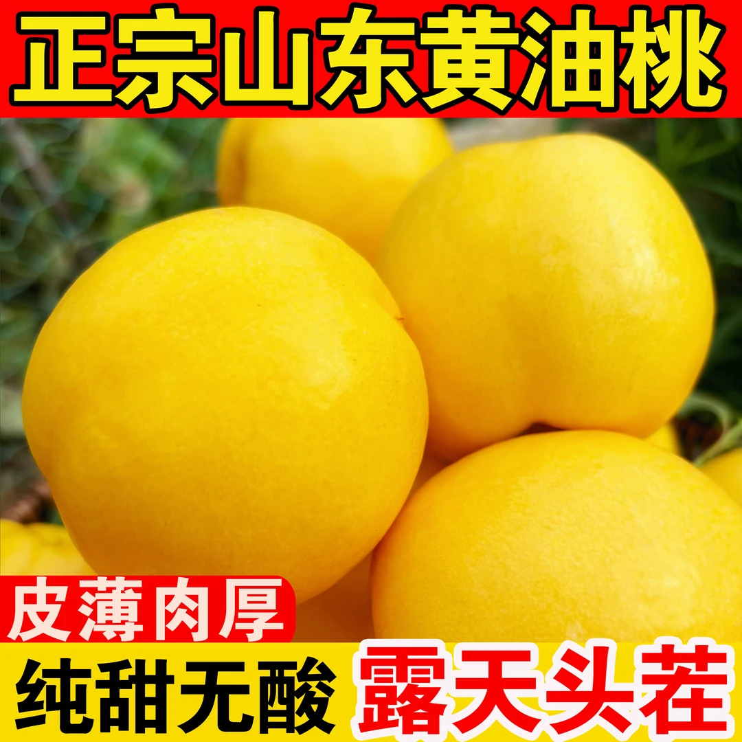 【黄油桃】山东蒙阴黄油桃新鲜水果时令应当季整箱桃子桃子同城送山东省