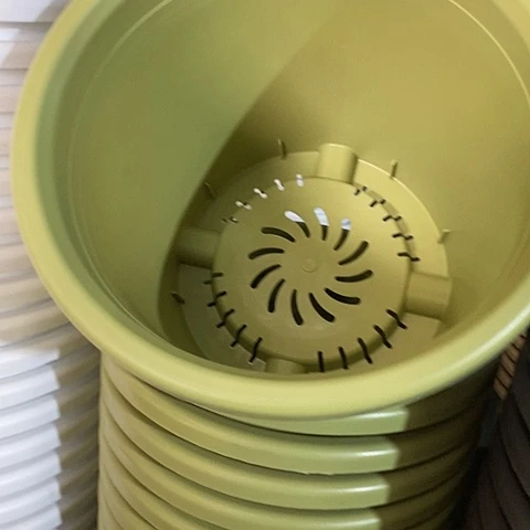 树脂四季9号果绿无托4个微瑕