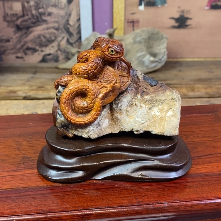 柏木（崖柏）崖柏11111