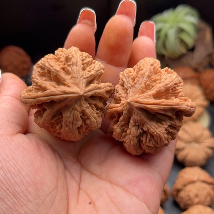 把件文玩核桃粗筋鹰嘴全品