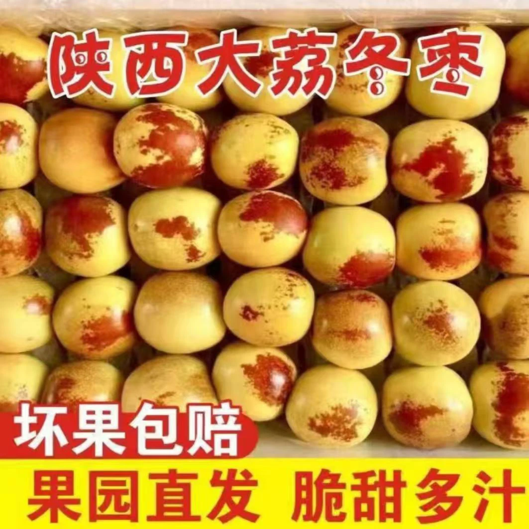 陕西大荔冬枣冰糖脆甜新鲜大枣5斤大果包邮