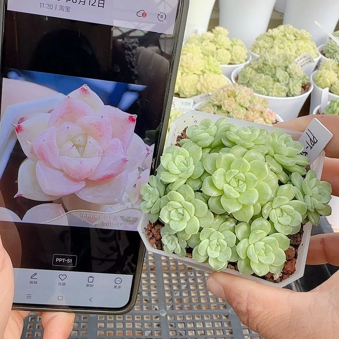 1028-127（ppt-51）优选