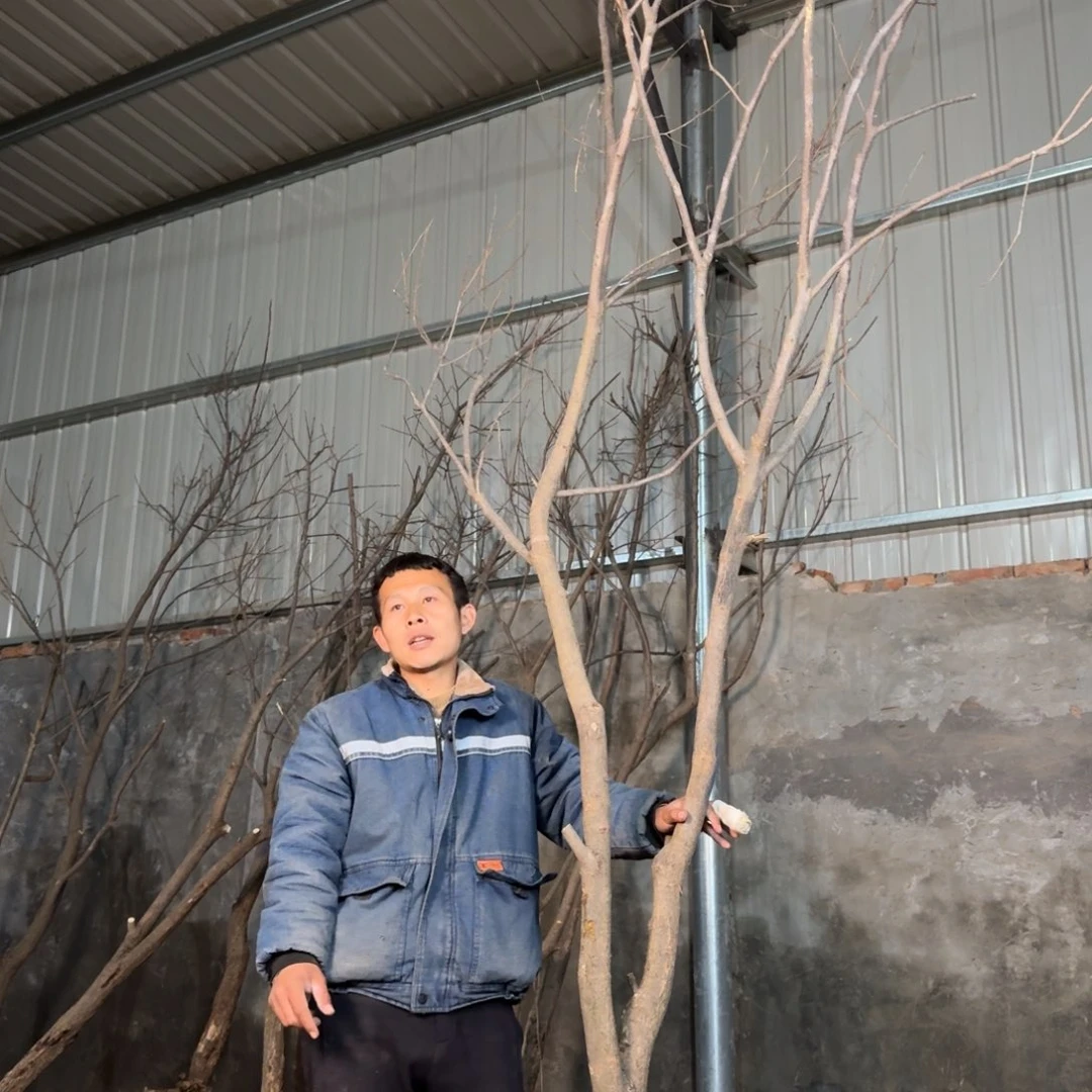 【闪购商品】给vvv?*