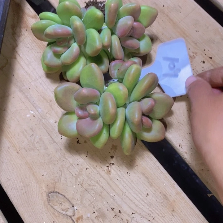 你说吧别在打电话发