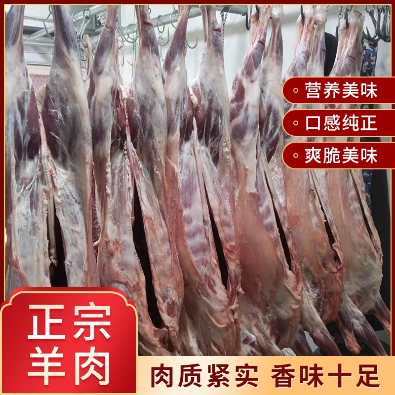 【正宗新疆羊肉】草原散养羊肉品质新鲜现宰现发肉质紧实烹饪食品